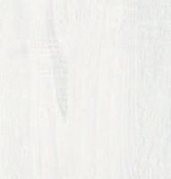 Y01 原切白梣