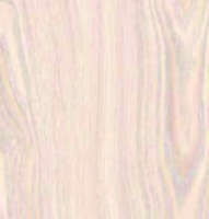 Y0D 
Classic White Oak

