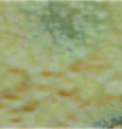 Z02 
Mexican Topaz  
