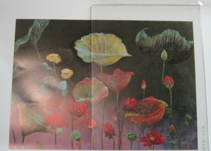 Anti-Glare Sheet
