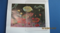 Anti-Glare Sheet